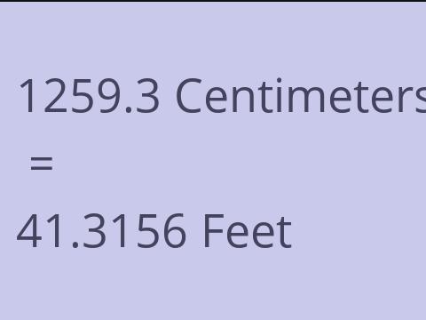 1259.3 CM TO FEET