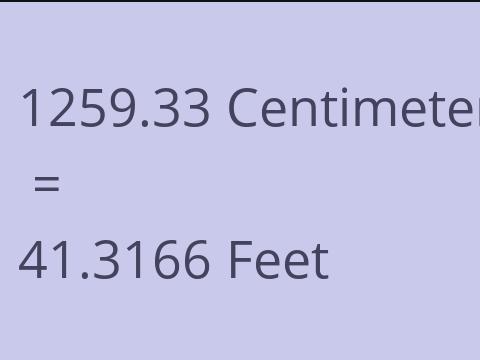 1259.33 CM TO FEET