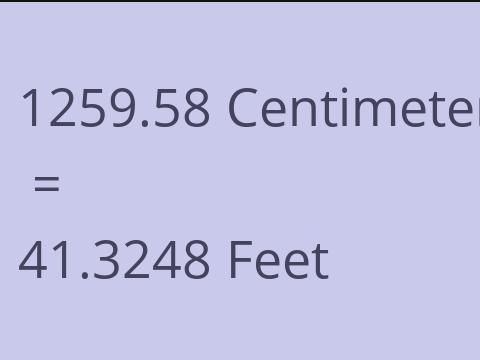 1259.58 CM TO FEET