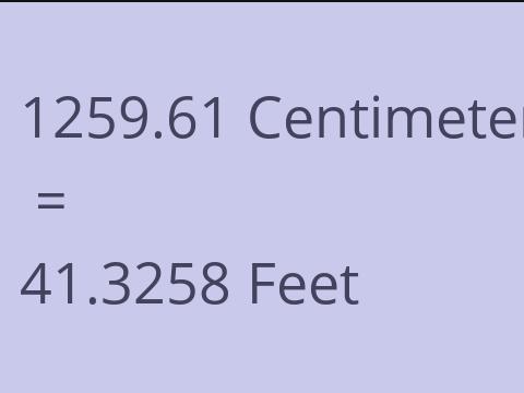 1259.61 CM TO FEET