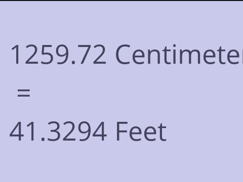 1259.72 CM TO FEET