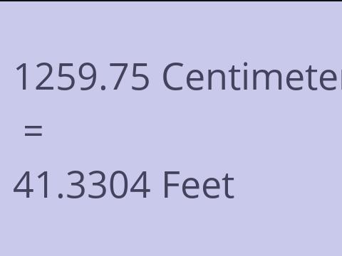 1259.75 CM TO FEET