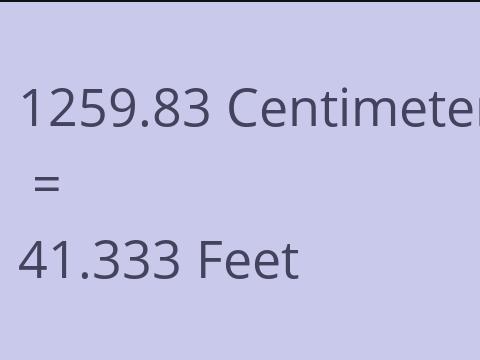 1259.83 CM TO FEET