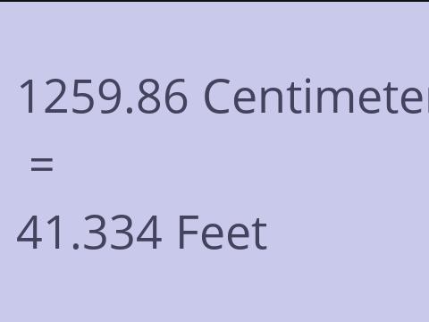 1259.86 CM TO FEET