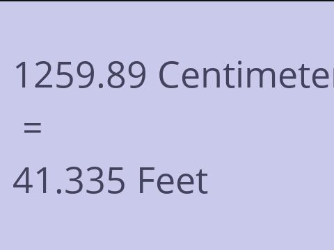 1259.89 CM TO FEET