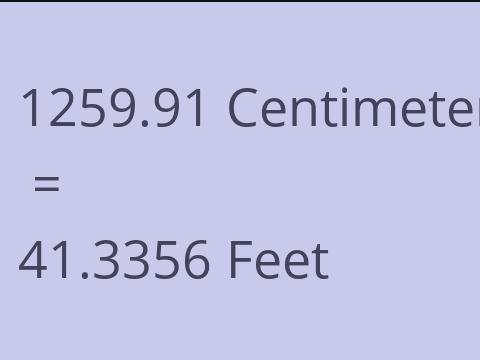 1259.91 CM TO FEET