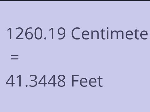 1260.19 CM TO FEET