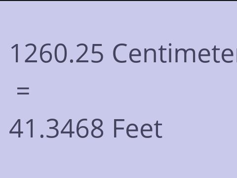 1260.25 CM TO FEET