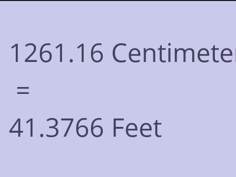 1261.16 CM TO FEET