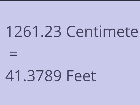 1261.23 CM TO FEET