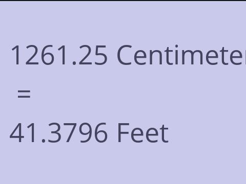 1261.25 CM TO FEET