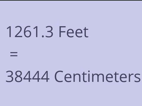 1261.3 FEET TO CM