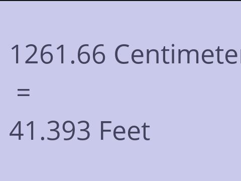 1261.66 CM TO FEET