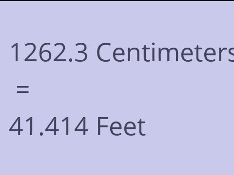 1262.3 CM TO FEET