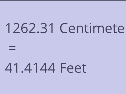 1262.31 CM TO FEET