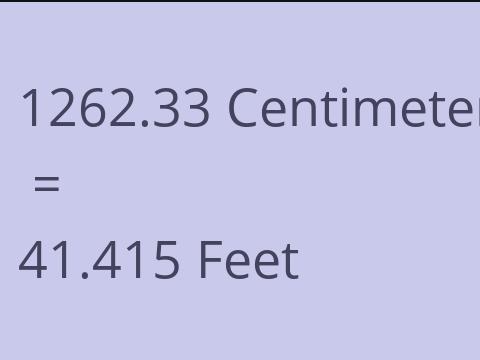 1262.33 CM TO FEET