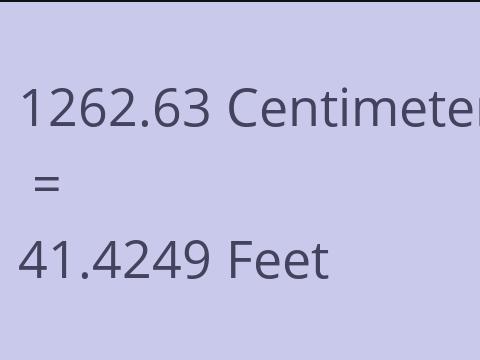 1262.63 CM TO FEET