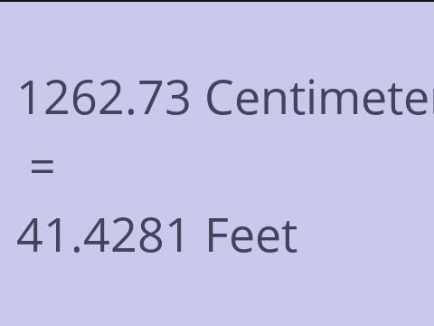 1262.73 CM TO FEET