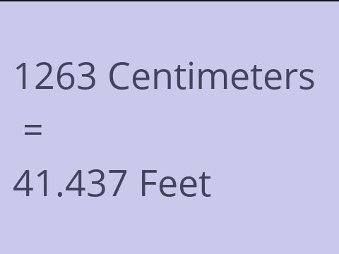 1263 CM TO FEET