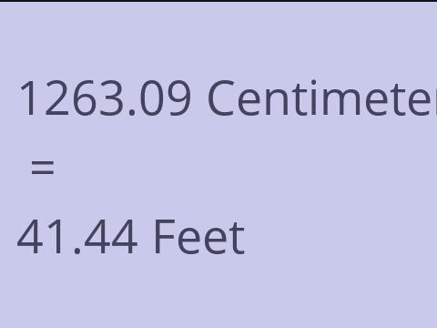 1263.09 CM TO FEET