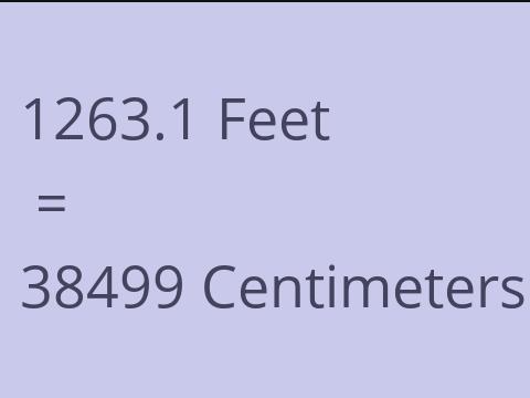 1263.1 FEET TO CM