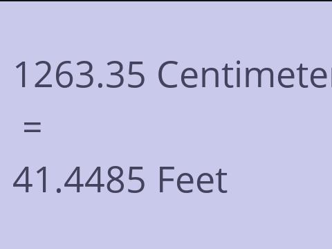 1263.35 CM TO FEET