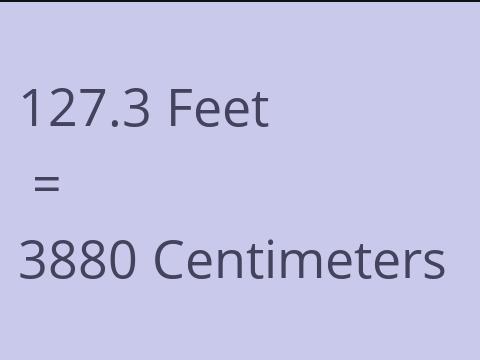 127.3 FEET TO CM