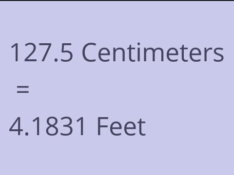 127.5 CM TO FEET