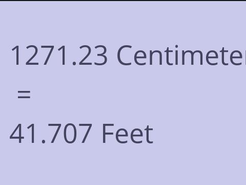 1271.23 CM TO FEET