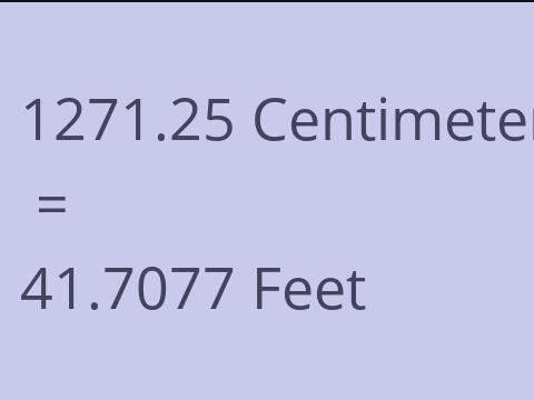 1271.25 CM TO FEET