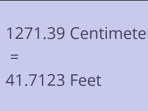 1271.39 CM TO FEET