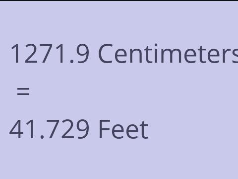 1271.9 CM TO FEET