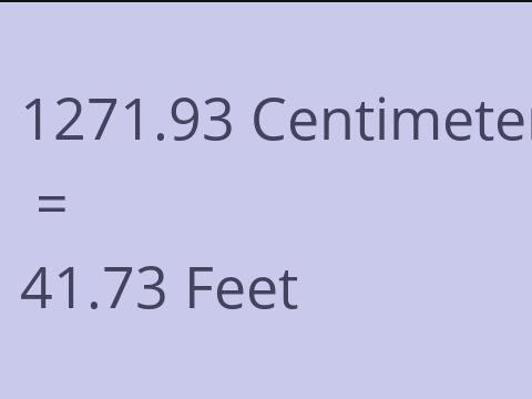 1271.93 CM TO FEET