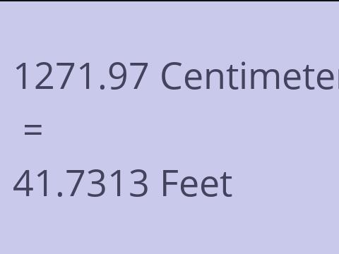 1271.97 CM TO FEET