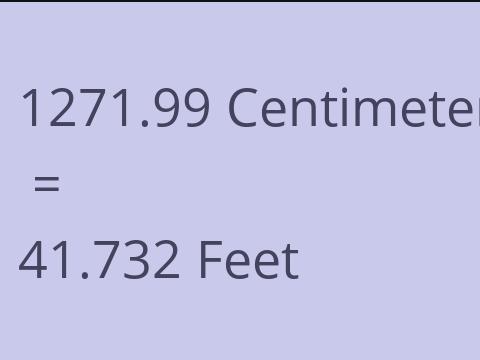 1271.99 CM TO FEET