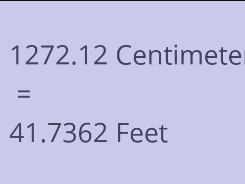 1272.12 CM TO FEET