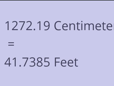 1272.19 CM TO FEET