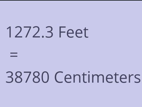 1272.3 FEET TO CM