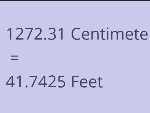 1272.31 CM TO FEET