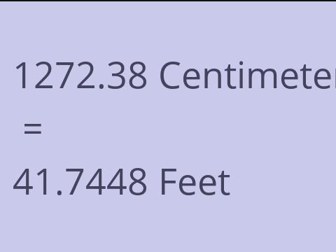 1272.38 CM TO FEET