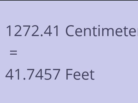 1272.41 CM TO FEET