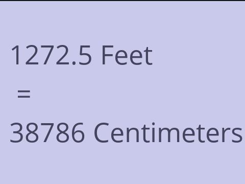 1272.5 FEET TO CM