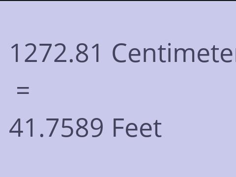 1272.81 CM TO FEET