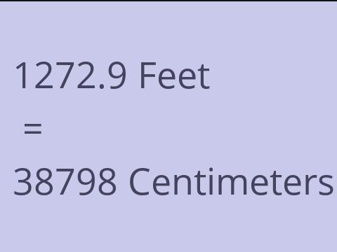 1272.9 FEET TO CM