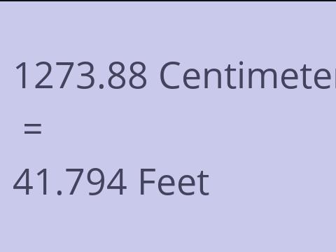 1273.88 CM TO FEET