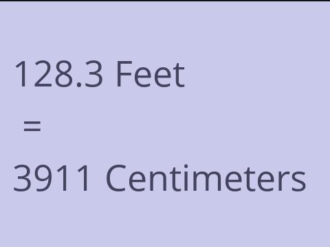 128.3 FEET TO CM