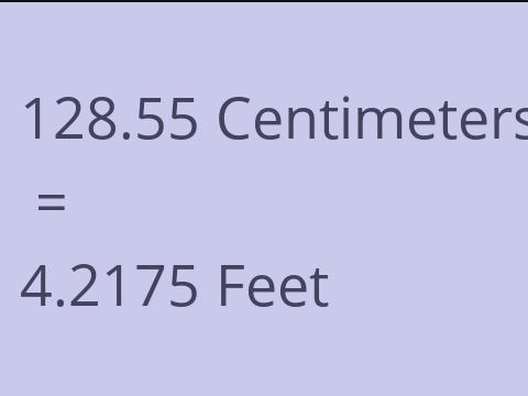 128.55 CM TO FEET