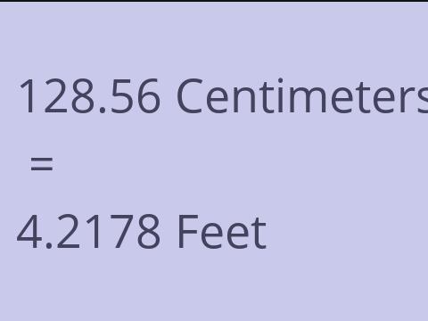 128.56 CM TO FEET