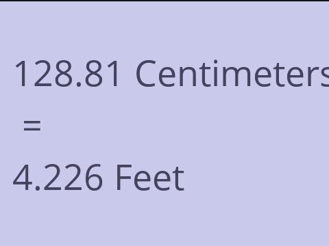 128.81 CM TO FEET