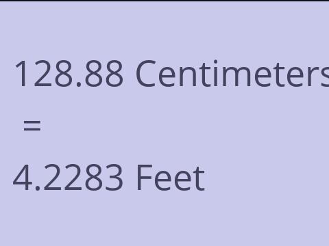 128.88 CM TO FEET